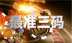 正码是什么意义 - 正码是什么意义下载版